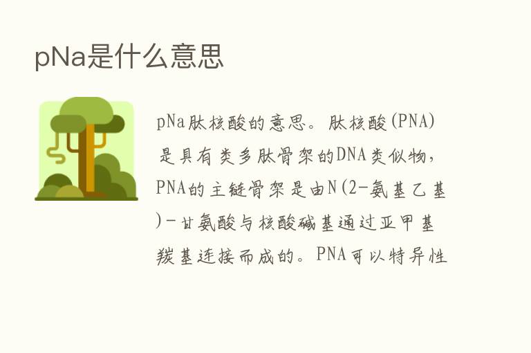 pNa是什么意思