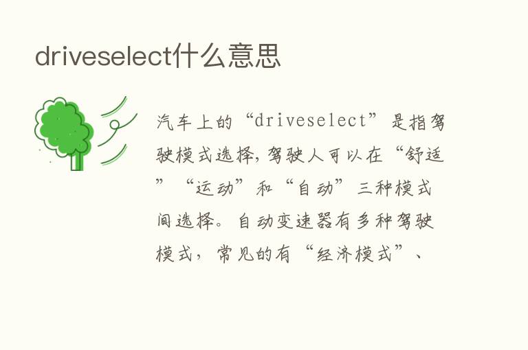 driveselect什么意思