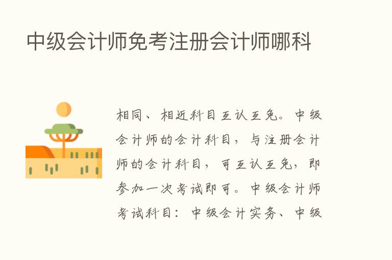 中级会计师免考注册会计师哪科