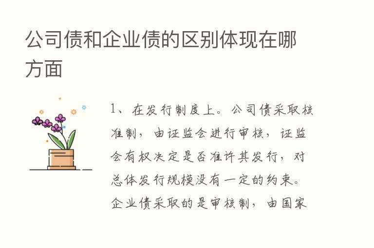 公司债和企业债的区别体现在哪方面