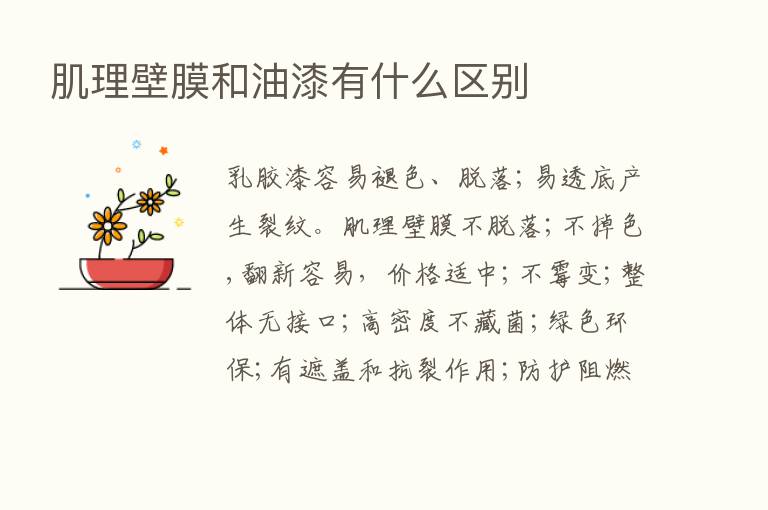 肌理壁膜和油漆有什么区别