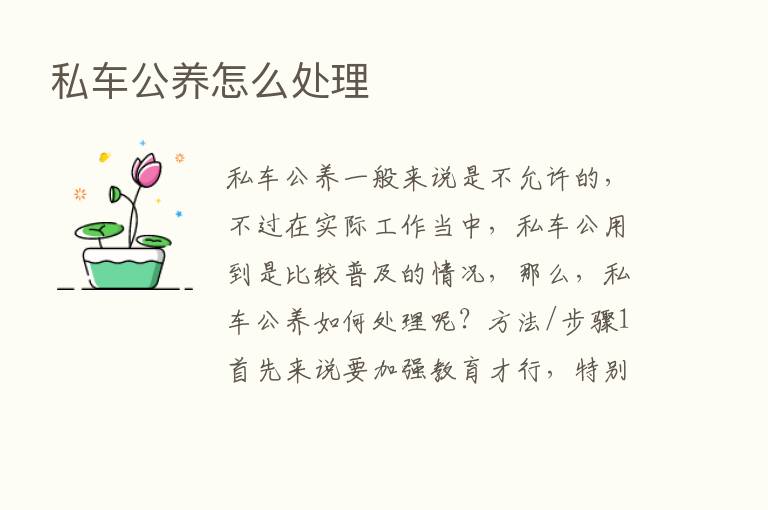 私车公养怎么处理