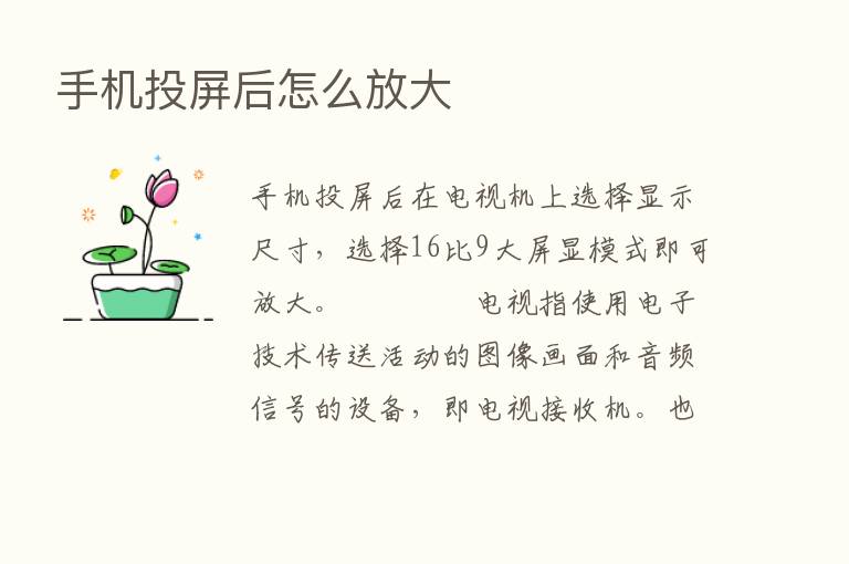 手机投屏后怎么放大