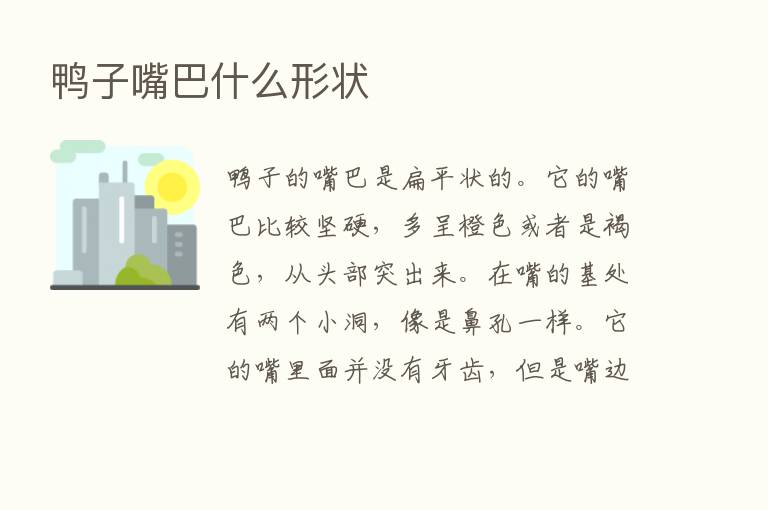 鸭子嘴巴什么形状