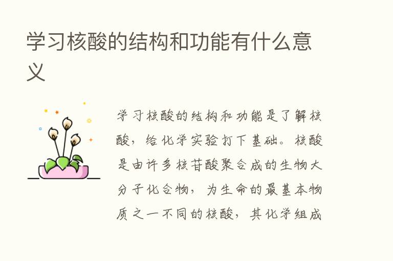 学习核酸的结构和功能有什么意义