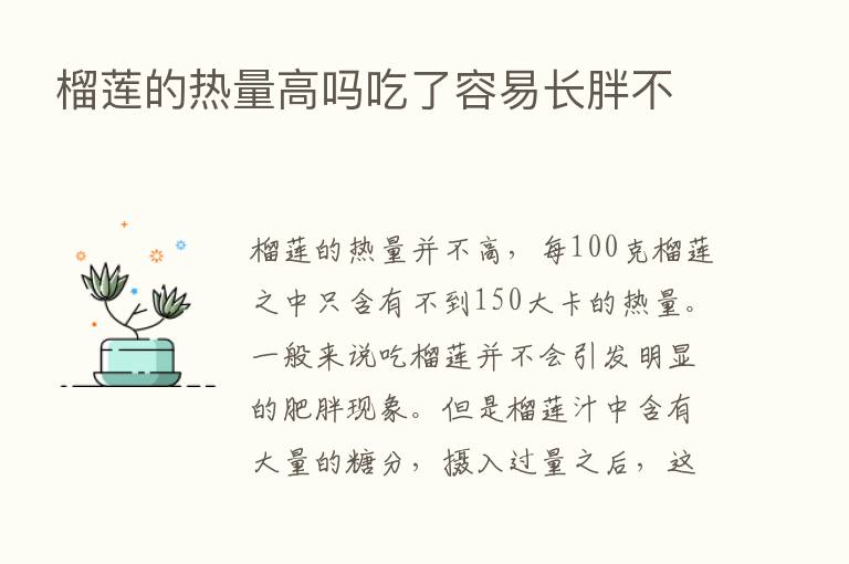 榴莲的热量高吗吃了容易长胖不