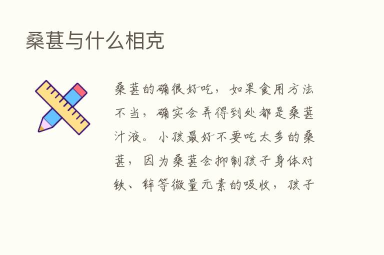 桑葚与什么相克