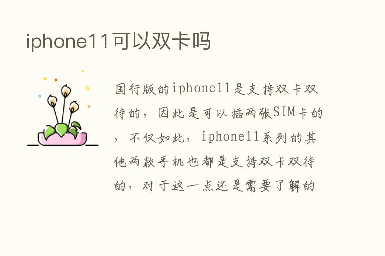 iphone11可以双卡吗