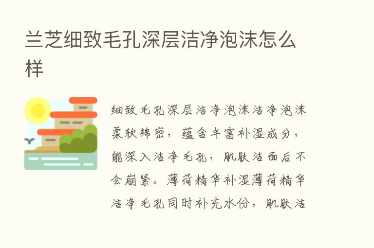 兰芝细致毛孔深层洁净泡沫怎么样