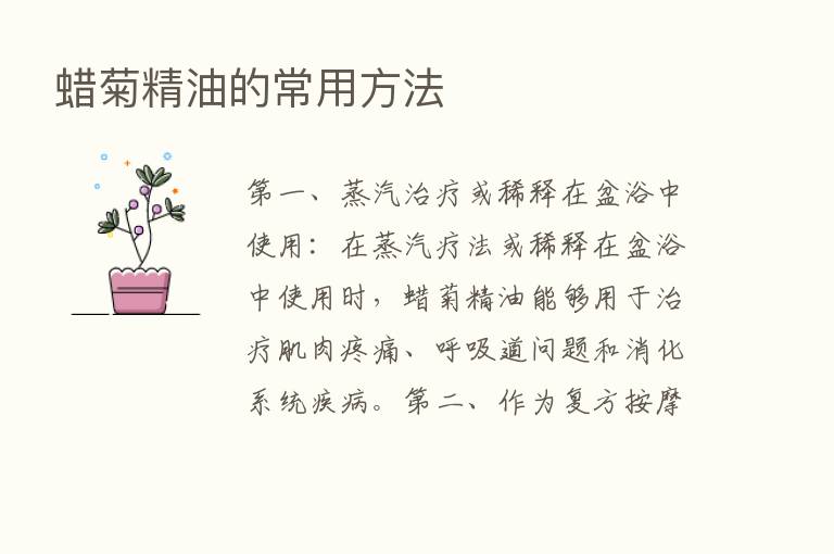 蜡菊精油的常用方法