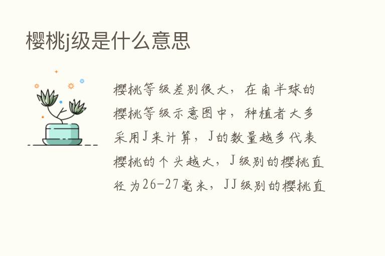 樱桃j级是什么意思