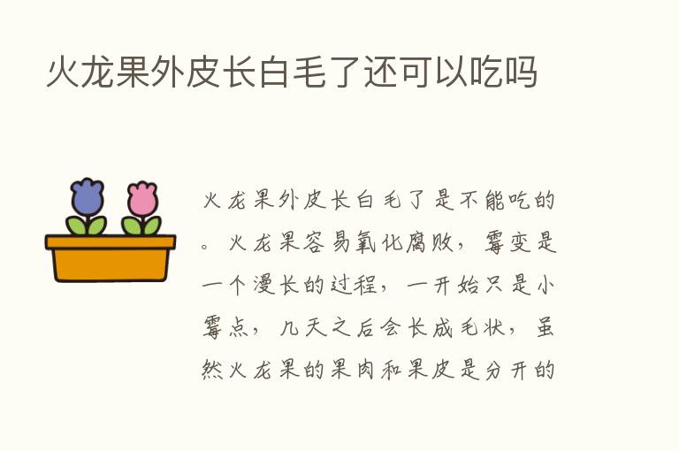 火龙果外皮长白毛了还可以吃吗