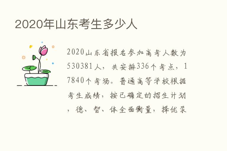 2020年山东考生多少人