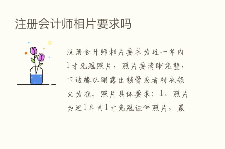 注册会计师相片要求吗