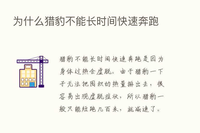 为什么猎豹不能长时间快速奔跑