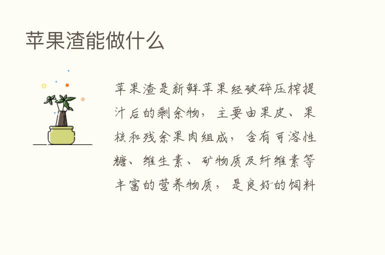 苹果渣能做什么