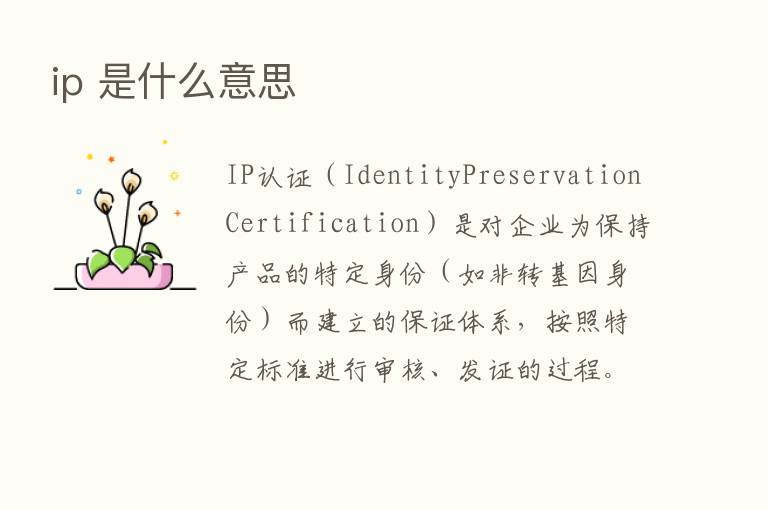 ip 是什么意思