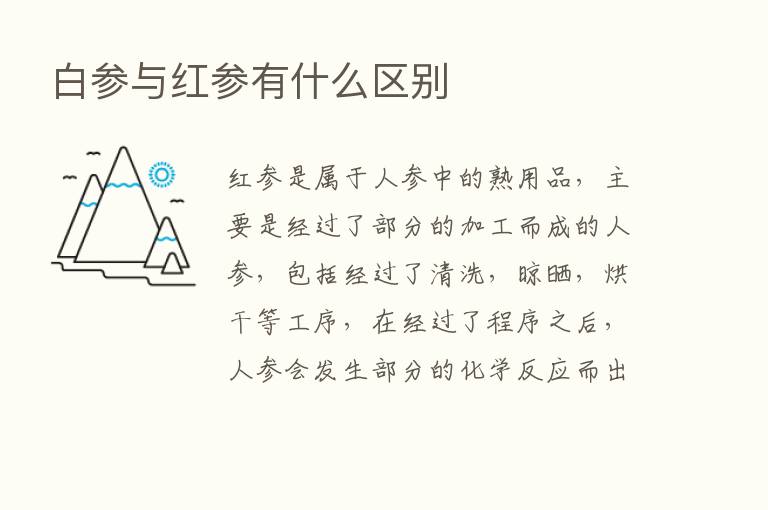 白参与红参有什么区别