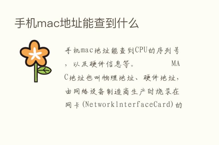 手机mac地址能查到什么