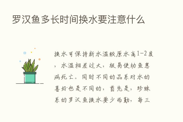 罗汉鱼多长时间换水要注意什么