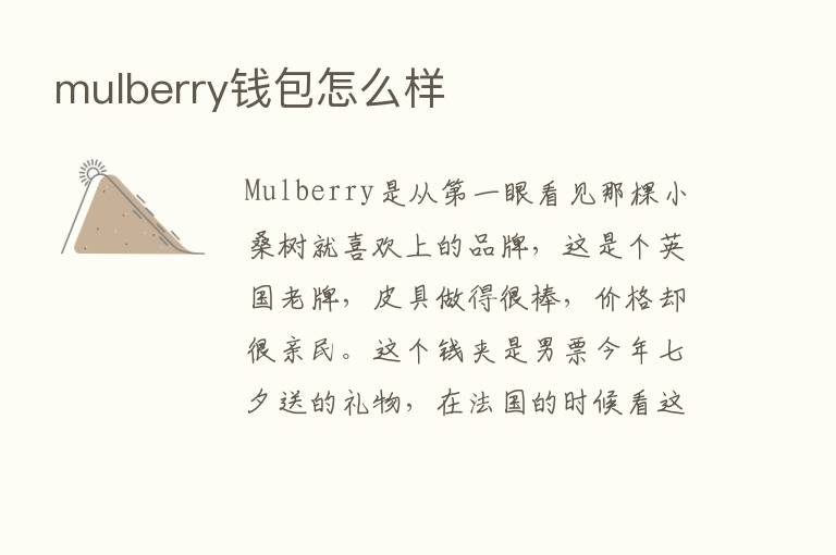 mulberry前包怎么样