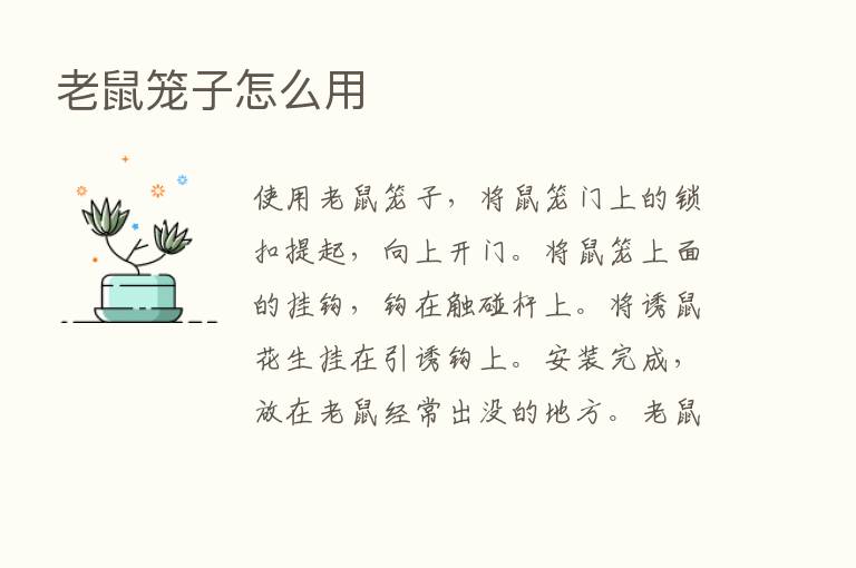 老鼠笼子怎么用