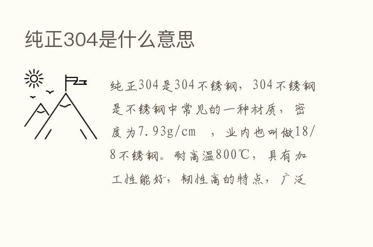 纯正304是什么意思