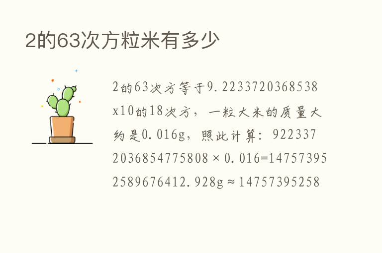 2的63次方粒米有多少