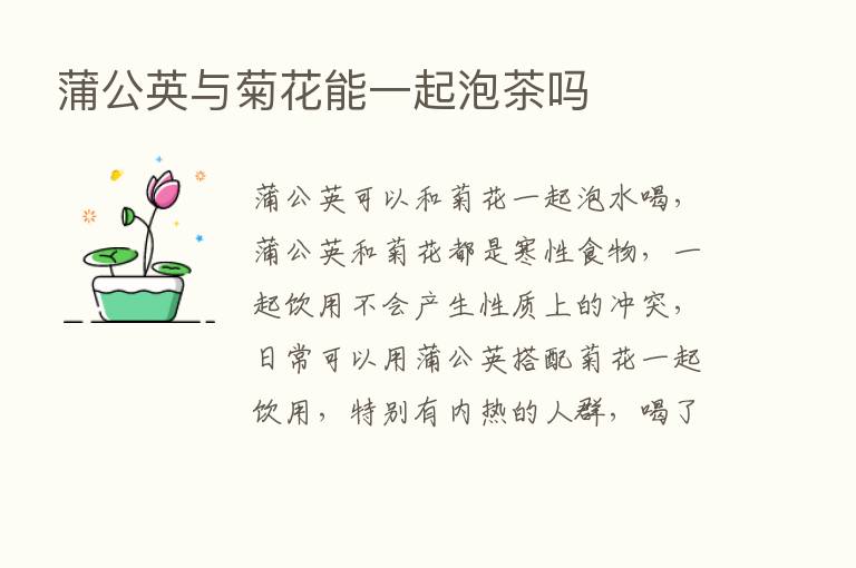 蒲公英与菊花能一起泡茶吗