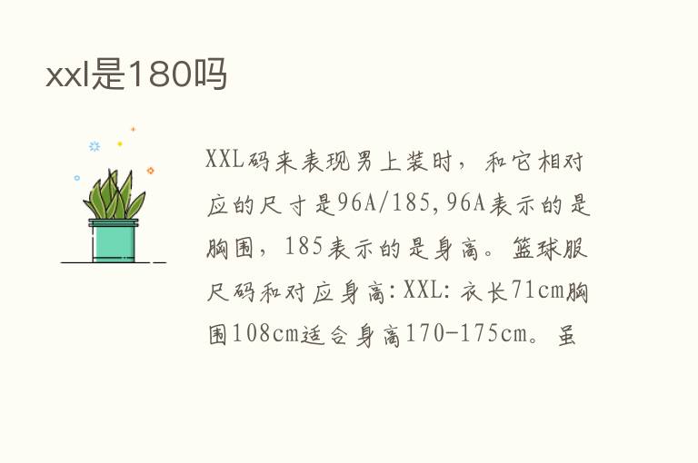 xxl是180吗