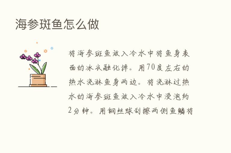 海参斑鱼怎么做