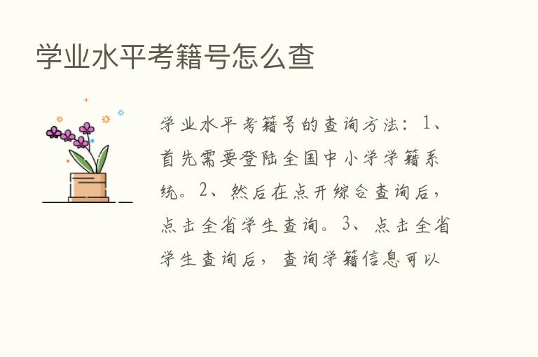 学业水平考籍号怎么查