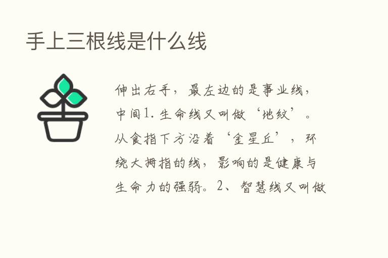 手上三根线是什么线