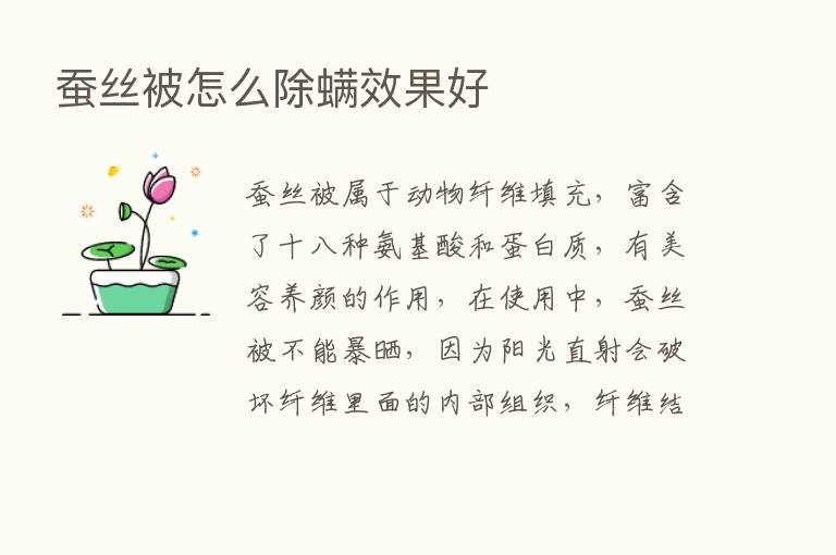 蚕丝被怎么除螨效果好