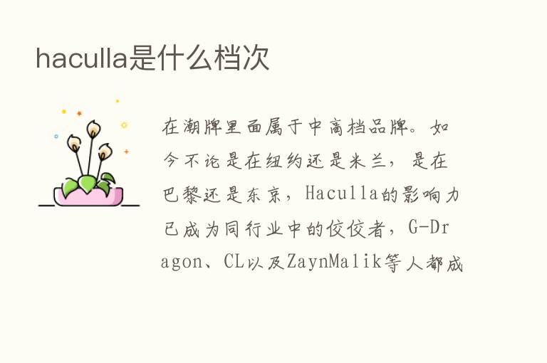 haculla是什么档次