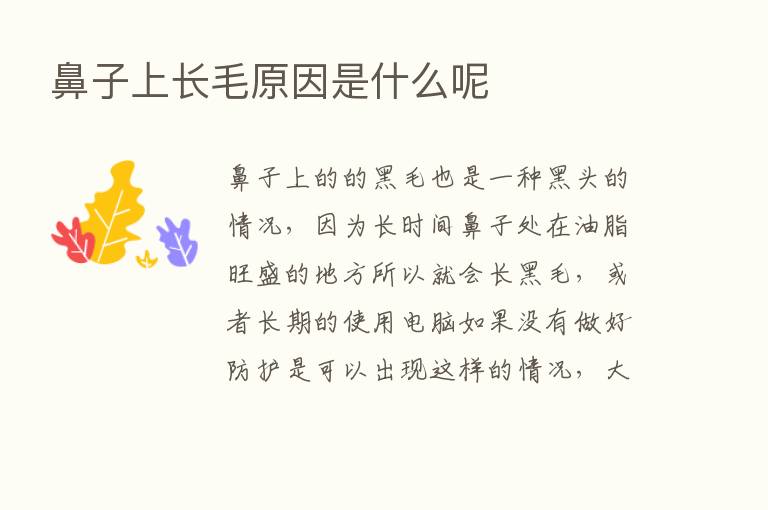 鼻子上长毛原因是什么呢