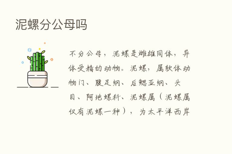 泥螺分公母吗