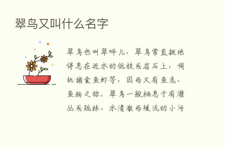 翠鸟又叫什么名字