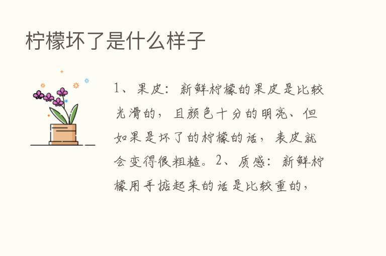 柠檬坏了是什么样子