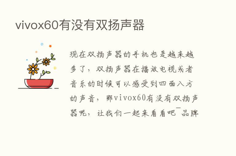 vivox60有没有双扬声器