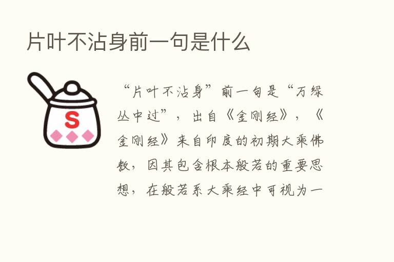 片叶不沾身前一句是什么