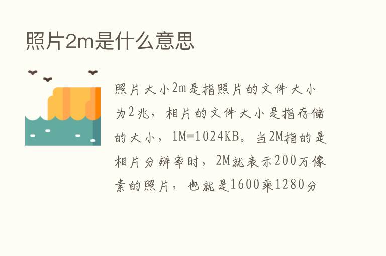 照片2m是什么意思