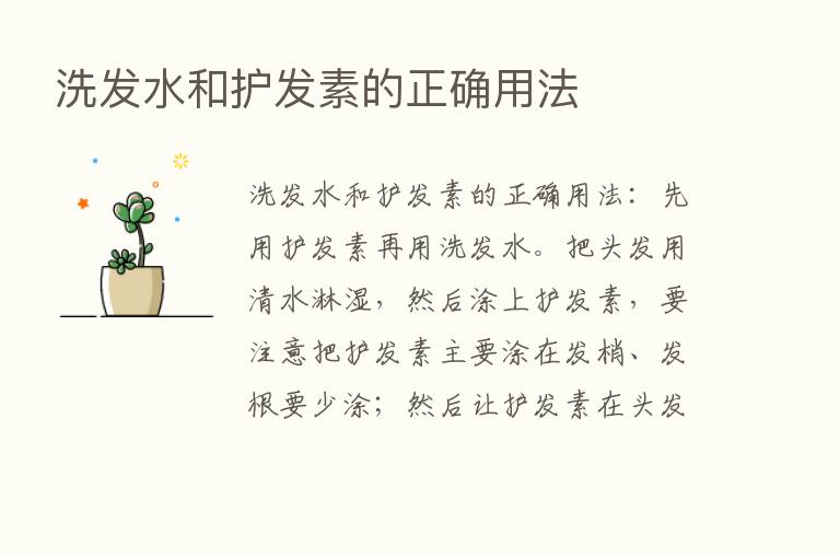 洗发水和护发素的正确用法