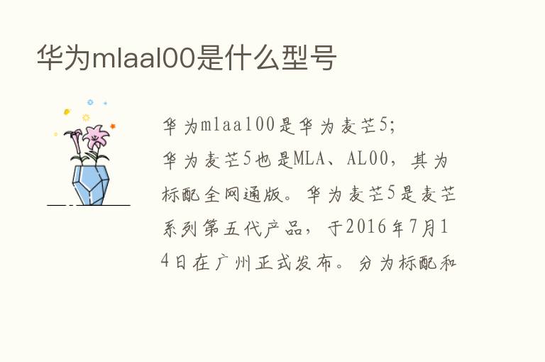 华为mlaal00是什么型号