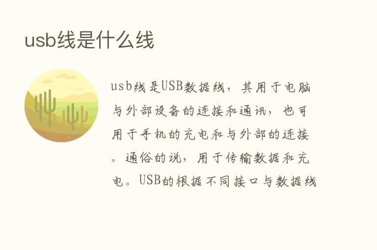 usb线是什么线