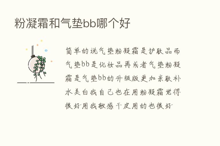 粉凝霜和气垫bb哪个好