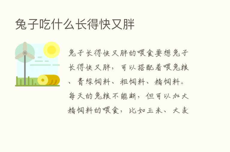 兔子吃什么长得快又胖