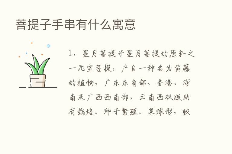 菩提子手串有什么寓意