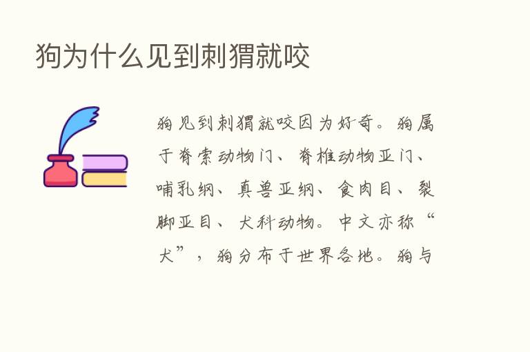 狗为什么见到刺猬就咬