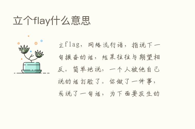 立个flay什么意思